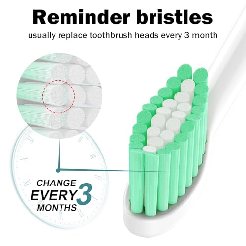 Replacement Toothbrush Heads for Philips Sonicare E-Series/Essence/Xtreme/Elite and Other Screw-on Electric Toothbrush Models, 12 Pack, Dupont Bristles 12 Count (Pack of 1)