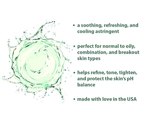 RAYA Menthol Astringent Facial Toner, 8 oz (203) | for Combination and Oily-Looking Skin | Helps Tone, Refresh, Refine and Maintain a Balanced-Looking Complexion 6 Fl Oz (Pack of 1)