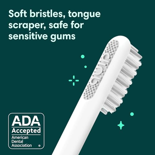 Quip Sonic Toothbrush for Adults - Timed Electric Toothbrush with Cover - Replaceable Brush Head, Soft Bristles, Plastic Handle, 3 Month Battery Life - Travel Toothbrush - Blue