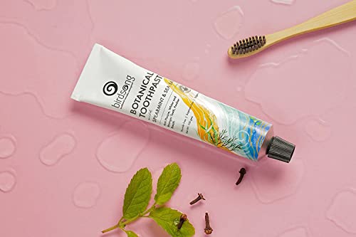 Birdsong Botanical Sea Salt and Spearmint Toothpaste 3.5 oz (100 GMS)
