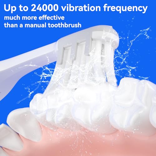 SEAGO Electric Toothbrush for Adults - 3 in 1 Holder with 8 pcs Replaceable Brush Battery Operated Travel Toothbrush kit Portable and 2 Minute Timer (Silver, Middle) (Pack of 2) Silver 1 Count (Pack of 2)