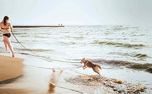 15ft 20ft 30ft 40ft 50ft Long Dog/Puppy Lead Obedience Recall Training Dog Leashes for Small Medium Dogs Camping, Training, Play, or Backyard (15 FT, Brown) 15 FT - BeesActive Australia