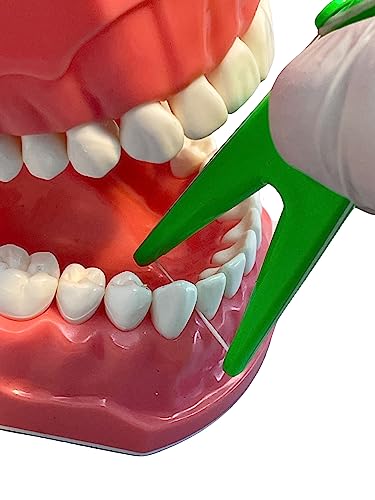 Dental Floss Holder