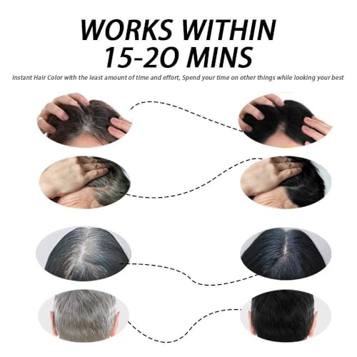 Hair Dye Shampoo 3 in 1, Instant Herb Ingrident Hair Dye to Cover Gray Hair, Long-lasting & Natual, Natural Black, 400 ML Nature Black 13.6 Fl Oz (Pack of 1)