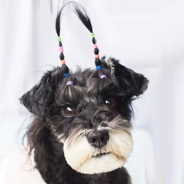 Pet Supply 200 Pack Tiny Rubber Bands Dog Hair Ties.3/8" Ivory Hair Rubber Bands for Dog Bows, Mini Rubber Bands for Hair,Dog Grooming Top Knots,Dog Bows,Braids,and Dreadlocks (Ivory) 200ct Ivory Latex Rubber Bands, 3/8" - BeesActive Australia