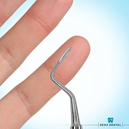 Root Elevator Set – Luxating Periotome, Apical Molt Osteotome, Root Extraction Instruments, Professional Oral Implant Tools - 3 Pcs 3 Pcs Set