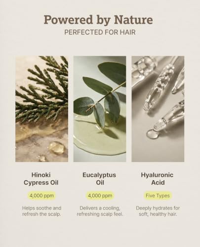 Earth Treatment | Korean Hair Care & Scalp Treatment for Damaged Hair | Hinoki & Eucalyptus Oil for Sensitive Scalp with Dexpanthenol, 200ml