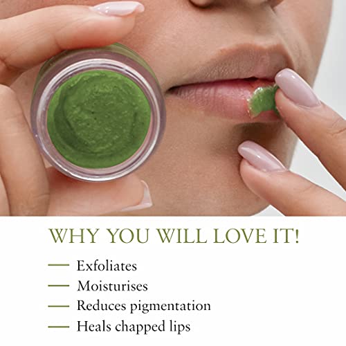 Just Herbs Organic Moisturizing Lip Scrub with Liquorice for Dry, Chapped & Smoker Lips - SLS & Paraben Free, Mint 15gm