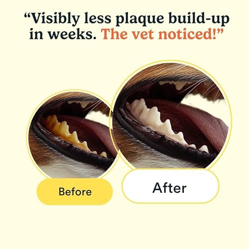 Jasper Dog Dental Wipes, Vet-Recommended Natural Cat & Dog Teeth Cleaning Wipes Dog Teeth Cleaner, Disposable Wipes Fresh Breath PlaqLift Technology Attacks Plaque and Buildup, Coconut, 60 Count