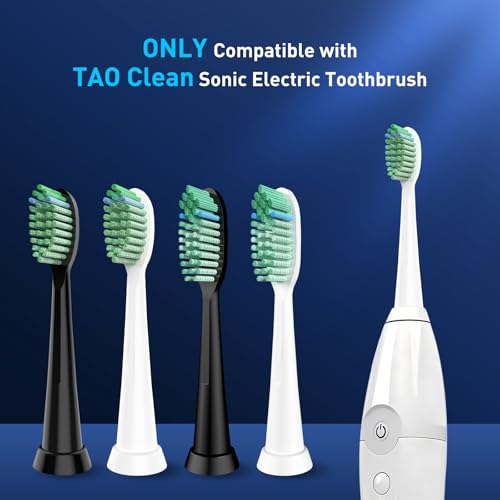 Toothbrush Replacement Heads Compatible with TAO Clean Sonic Electric Toothbrush - Daily Care Whitening Brush Heads Compatible with Taoclean, White