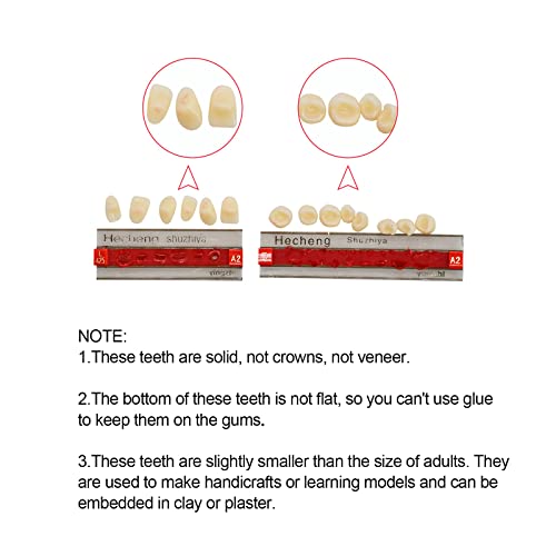 84 Pcs Dental Complete Acrylic Resin Denture False Teeth 3 Sets Synthetic Polymer Resin Denture Teeth 23 Shade A2 Upper + Lower Dental Materials