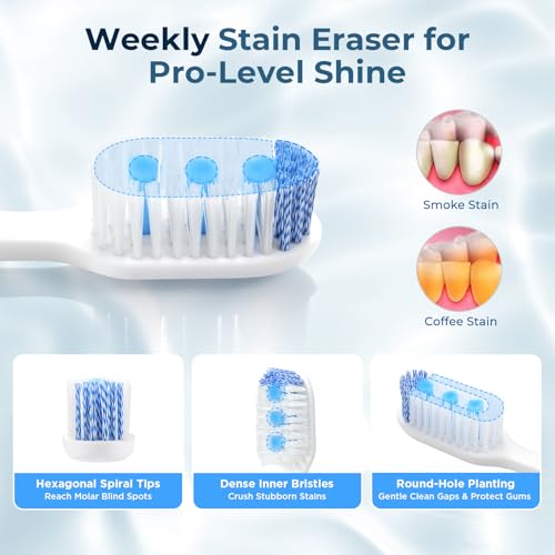 Wider Aluminum Toothbrush Travel Case+Oralphi Soft Toothbrushes for Morning Freshness & Night Cleanliness