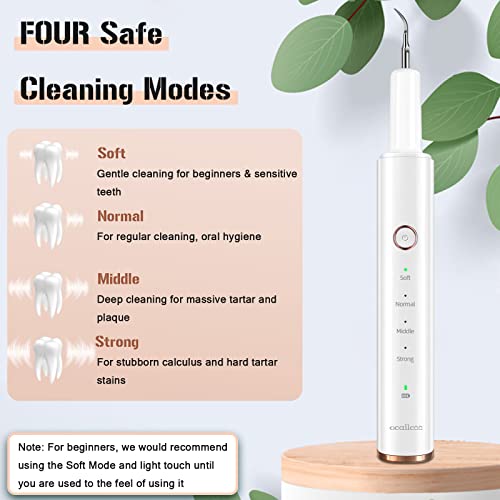 Plaque Remover for Teeth, Electric Tartar Remover for Teeth with LED Light,4 Modes Rechargeable