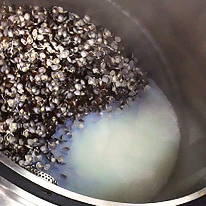 Tsugaru clam legend 180 grains, baked clam shell, calcite, ornithine supplement, the power of clam, condensed from the whole shell down - BeesActive Australia