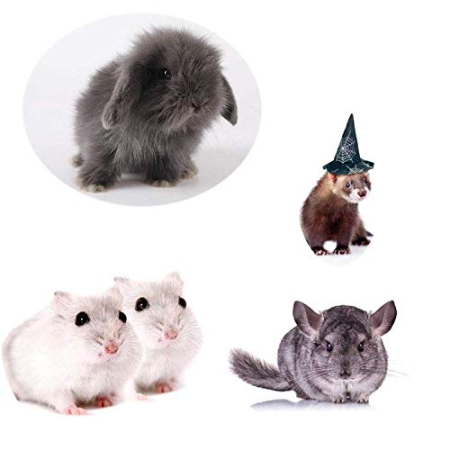 Small Animals Bowl, Detachable Cage Feeder Pet Ceramic Water & Food Feeder, Small Animal Supplies for Rabbit Parrot Squirrels Chinchilla Hamster Ferret (White, M) White Medium - BeesActive Australia