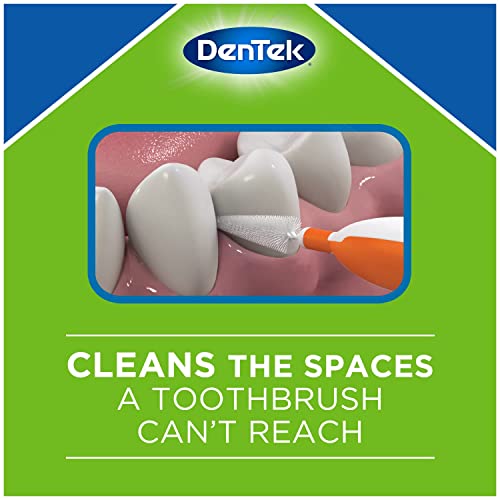 DenTek Easy Brush Interdental Cleaners, Between Teeth Brushes for Plaque Removal, Dental Picks for Oral Care, Mint, 16 Count (Pack of 10) 16 Count (Pack of 10)
