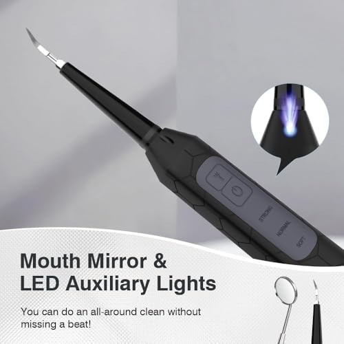 Plaque Remover for Teeth, Dental Care Device 3 Adjustable Modes Teeth Cleaning Kit with 2 Replaceable Clean Heads for Tartar & Calculus Remover