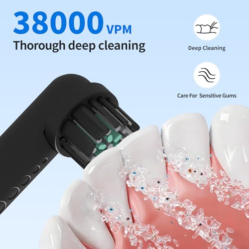 Toothbrush Replacement Heads for Quip 360 Oscillating Electric Toothbrush Black