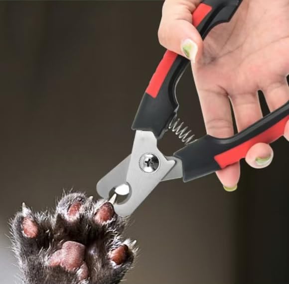 Nail Clipper Trimmer Set for Pet Cats, Dogs, etc., Quick Safety Guard to Avoid Over-Trimming, Stainless Steel Razor Blades, Non-Slip Handle, and Nail File, Professional pet Grooming Tools - BeesActive Australia