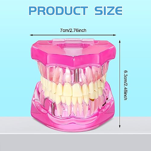 Outus Dental Typodont Model Removable Tooth Implant, Pink, 1 Pcs