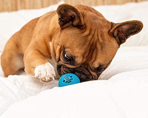Pet Qwerks Talking Babble Ball - Interactive Chew Dog Toy - Large - BeesActive Australia