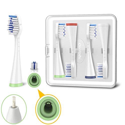 Toothbrush Replacement Heads for Waterpik, and Aluminum Electric Toothbrush Travel Case