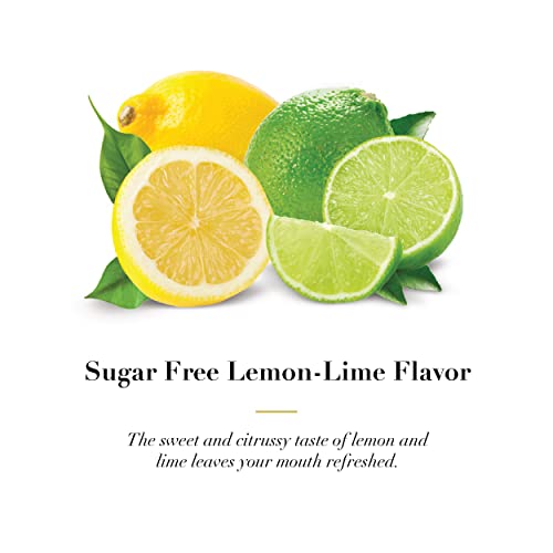 Dr Doolittle's Sugar Free Soft Fruit Pastilles for Voice and Throat, Lemon Lime Flavor, Multipack of 2.12 Ounce Tin, 2 Pack and .33 Ounce Travel Size Bag, 10 Pack