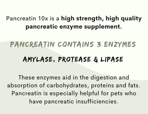 Pancreatin 10X - Pancreatic enzymes for Dogs and Cats (Made in USA) High Strength | Low Odor |10oz (285g) - PawsPlanet Australia