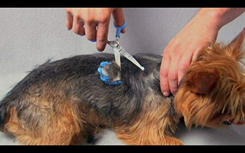 SCAREDY CUT Silent Pet Grooming Kit for Dog, Cat and All Pet Grooming - A Quiet Alternative to Electric Clippers for Sensitive Pets (Right-Handed Pink) 16pc Right-handed Pink
