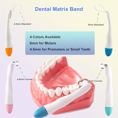 Orthodontic Dental Matrix-Profect Bands Dental Sectional Matrix System Metal Restoration Matrix Bands Yellow/Red/Blue/Green (50PCS-Red-Curved-4.5mm) 50PCS-Red-Curved-4.5mm
