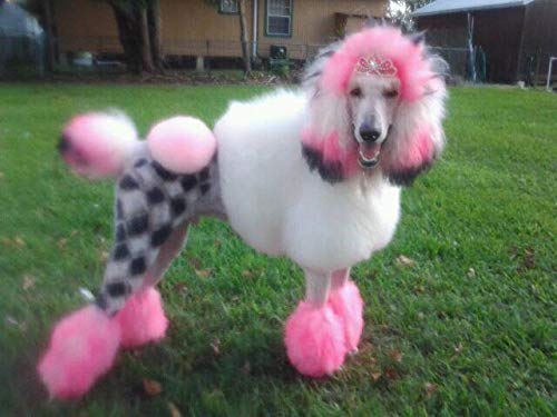 Critter Color Temporary Pet Fur Coloring- Warren London- Easy To Use- 7 Colors- Made in USA- Pink Alexa's Pink Kiss - PawsPlanet Australia
