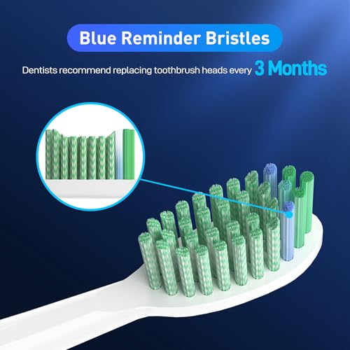Toothbrush Replacement Heads Compatible with TAO Clean Sonic Electric Toothbrush - Daily Care Whitening Brush Heads Compatible with Taoclean, White