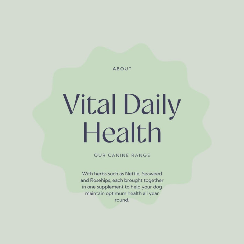 Hilton Herbs Vital Daily Health Natural Dog Supplement. 100% Natural Ingredients. Vital Vitamins and Mineral for Optimum Health. Suitable for BARF and Raw Diet. 60 g