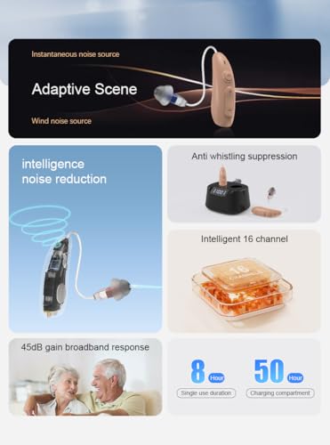 Blue Deer Rechargeable Hearing Aids for Seniors - Digital OTC Hearing Aid with Noise Cancellation 360° Omnidirectional Capture 30Hrs Long Endurance Behind Ear Hearing Amplifiers with Charging Case