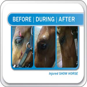 Liquid Bandage, 2 Pack Spray on Wound Care for Horses, Livestock, Large Animal First Aid, Woman Owned Small Business - PawsPlanet Australia