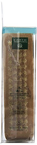 Earth Therapeutics Genuine Bristle Nail Brush