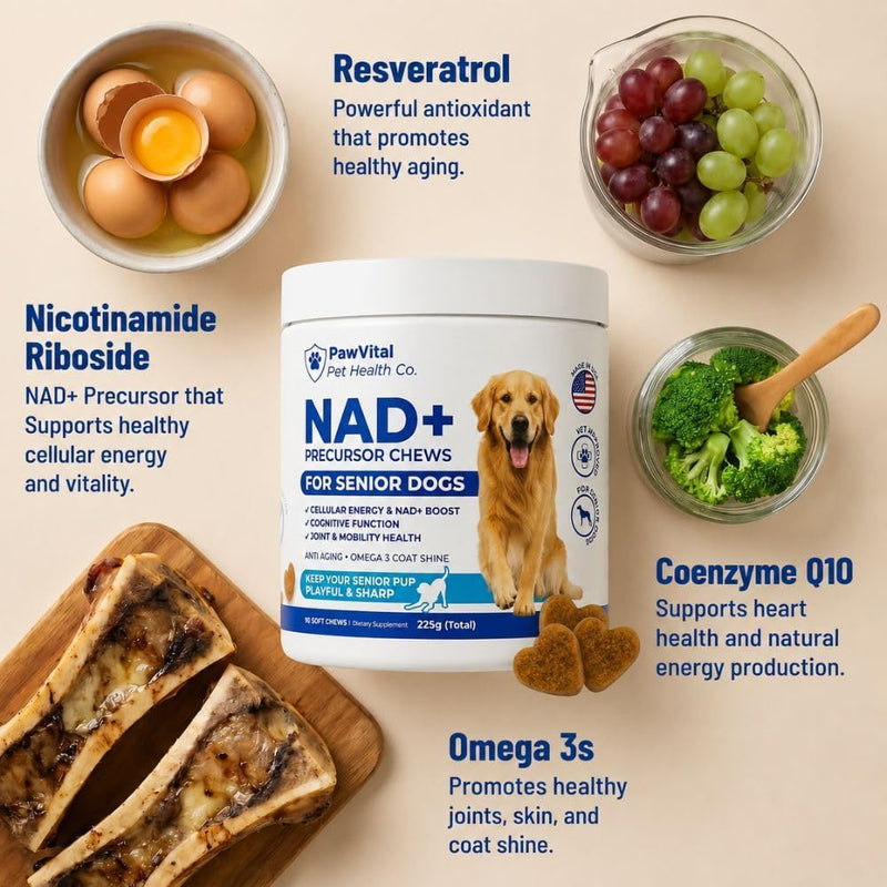 NAD+ Precursor Chews for Senior Dogs – Cellular Energy, Longevity & Cognitive Support – Nicotinamide Riboside, Resveratrol, Quercetin, Glucosamine, Omega-3 – Made with Real Chicken – 90 Count