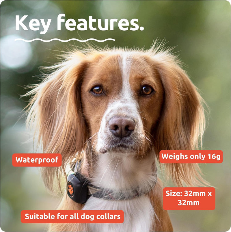 Pitpat - activity monitor for dogs