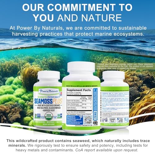 Power By Naturals Sea Moss Plus – USDA Organic Irish Sea Moss Capsules with Bladderwrack & Burdock Root – Immune Support – Vegan, Non-GMO, Gluten-Free – 120 Capsules, 2-Pack (2-Month Supply) | With Bladderwrack & Burdock Root - Immune Support - Vegan, ...
