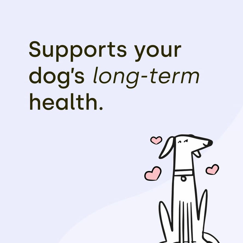 Scooch Calming Dog Treats – The Calming Chew Fussy Dogs Actually Eat | Helps Support Calm for Fireworks, Travel & Time Alone | with Ashwagandha, Valerian, Hemp & Chamomile | 60 Chews