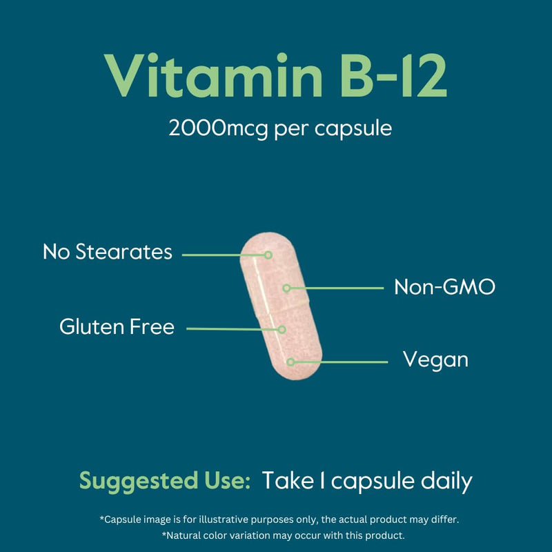 BESTVITE Vitamin B12 (Methylcobalamin) 2000mcg (240 Veg Caps) (Methyl B12) | No Stearates - Vegan - Non GMO - Gluten Free - Supports Energy Metabolism* - Vitamin B12 Supplement - Easy to Swallow Caps