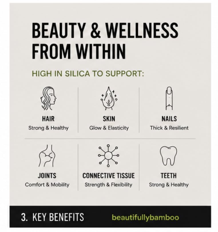 Bamboo Silica Extract Power [Hair, Skin & Nails -150 Servings] - Beautifully Bamboo