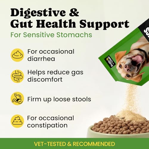 Skin & Gut Health Bundle for Dogs – Omega-3 Chews + Probiotic Powder