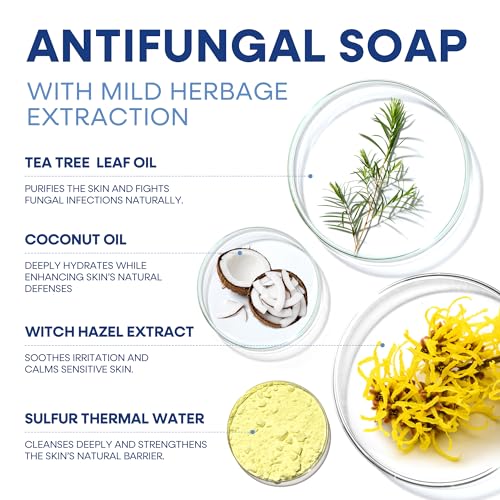 Hermon Antifungal Soap with Tea Tree Oil: Antifungal Bar Soothing Care & Relief of Itchy for Ringworm Jock Itch Athletes Foot - Body & Face Wash (1-Pack (2 Bars Original Tea Tree)) 1-Pack (2 Bars Original Tea Tree)
