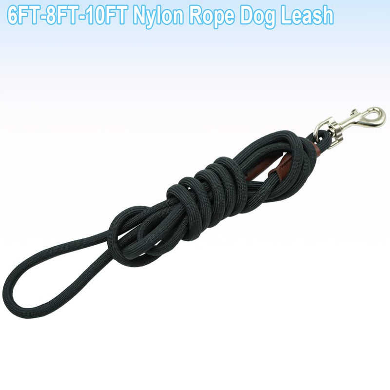 Small Dog Leash, 1/4" by 6/8/10 FT Lightweight Strong Nylon Rope Leash, Bright Classic Leash for Small Pets/Puppy/Cat (10ft, Black) 1/4" x 10' - BeesActive Australia