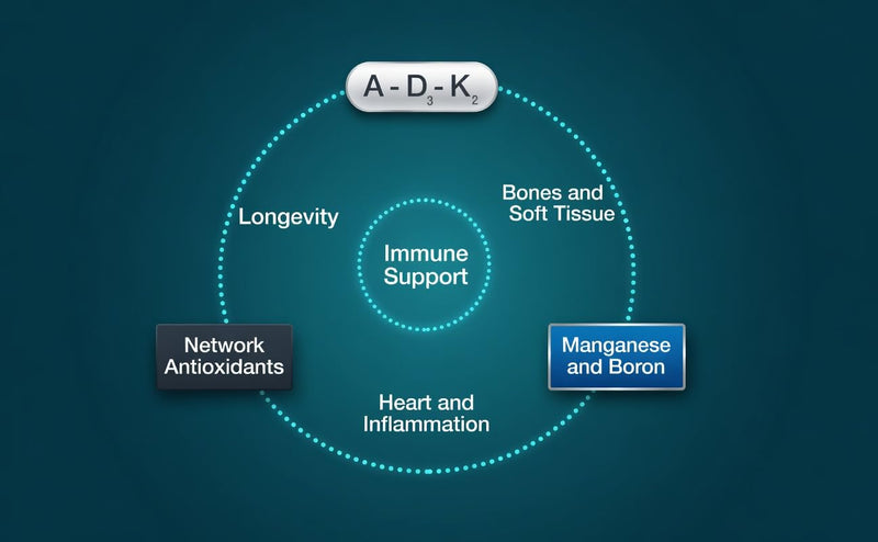 Zen Haus ADK Vitamins A D3 K2 E with CoQ10 & Alpha Lipoic Acid – Bone, Heart & Immune Support – 100 Capsules 1