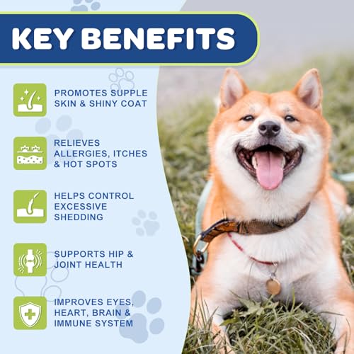 NATURE TARGET Omega 3 Fish Oil for Dogs, Salmon Oil Skin and Coat Supplement for Dogs