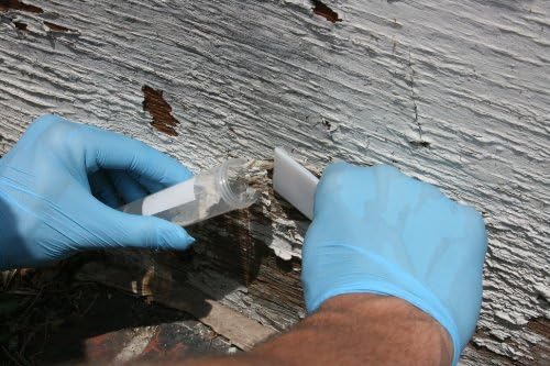 Lead Test Kit in Paint, Dust, or Soil 1PK (5 Bus. Day) Schneider Labs Lead 1 Pack 5 Day - BeesActive Australia