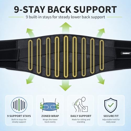 CAMBIVO Back Brace with 9-Stay Adjustable Lumbar Support Belt, BS10 Black Large