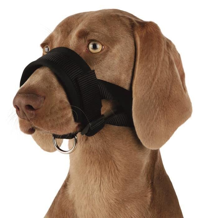 Trixie 19282 mouth loop, nylon, XL, black - BeesActive Australia